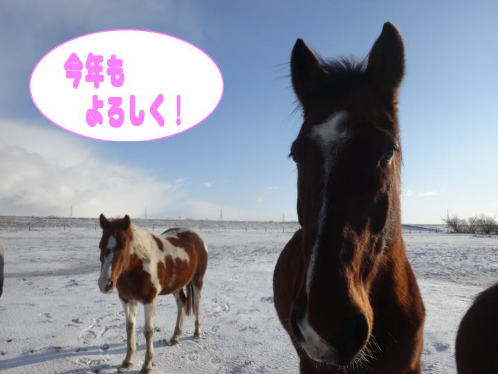 カブレット＆ハートムーン