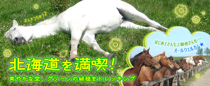 北海道を満喫！さわやかな空、グリーンの絨毯をトレッキング